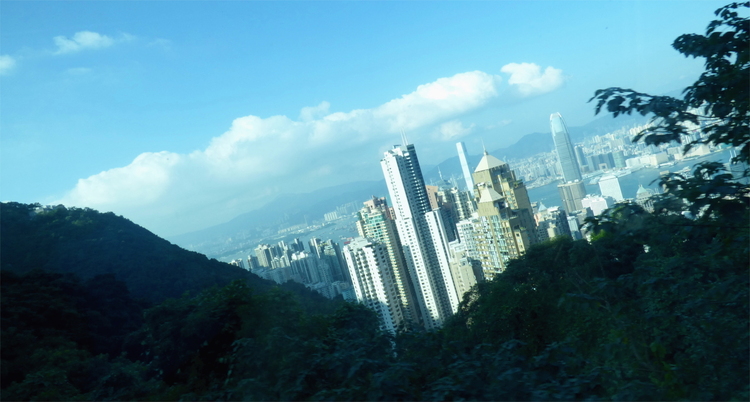 Buildings of the Hong Kong skyline poking out from a forest