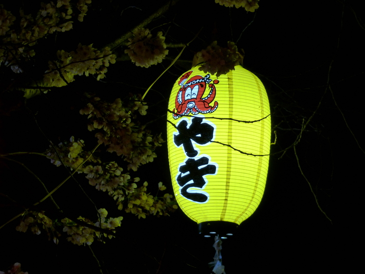A yellow paper lantern hanging from a cherry tree at night, showing a red cartoon octopus and two black Japanese characters