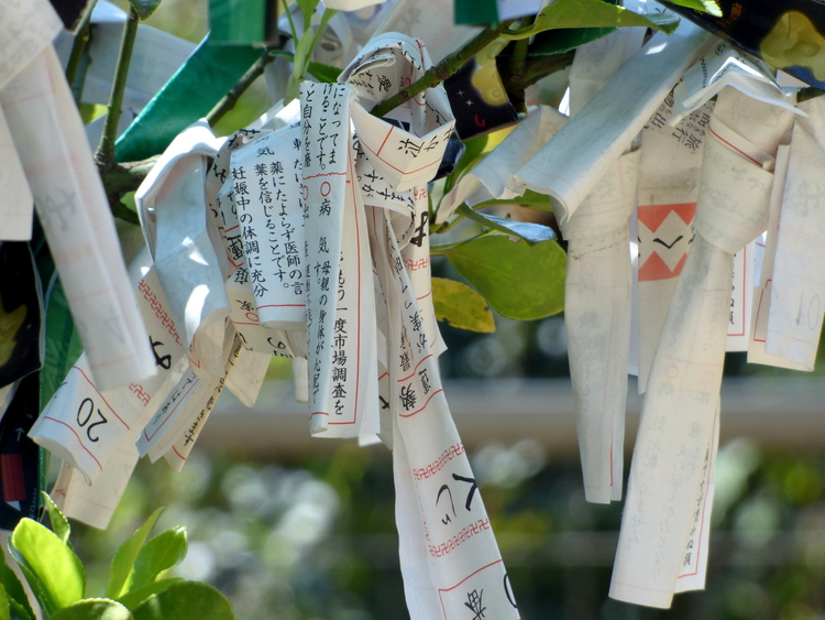 Various Japanese paper fortunes tied around the branch of a tree
