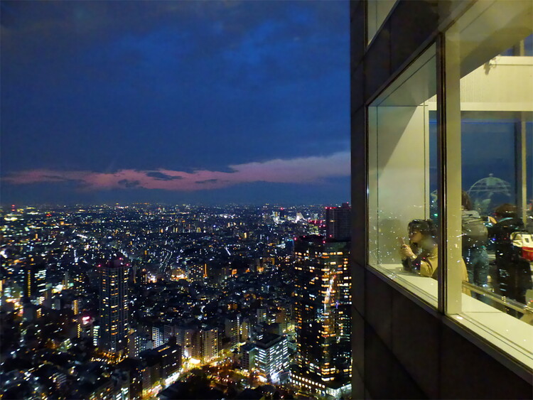 A woman leaning against a window with a view of Tokyo at night from above