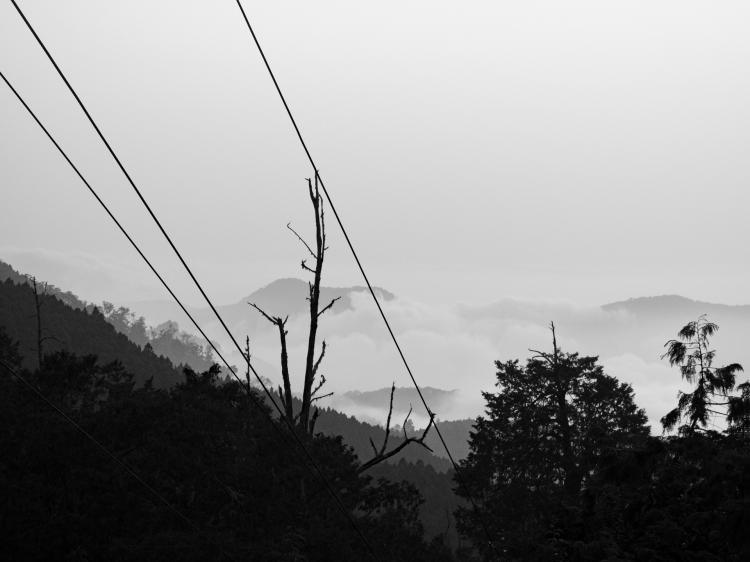 Layered silhouettes of trees and mountains in the distance with clouds and fog in between