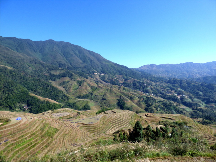 A hillside covered in rice-terraces in a green, mountainous landscape