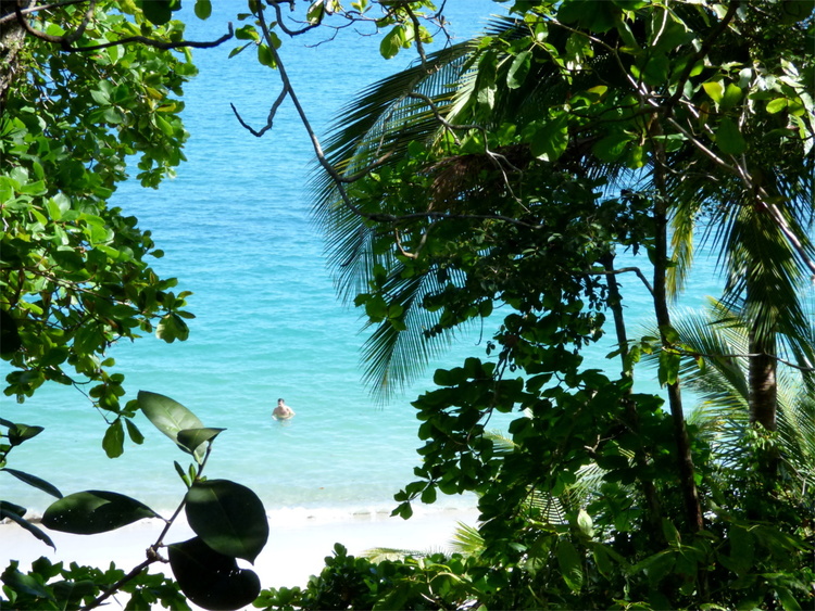 A single person bathing in the turquoise ocean, photographed through an opening in the dark green tropical foliage in the foreground