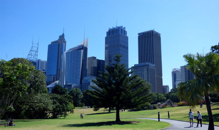 Some high-rise buildings seen from a public part with some trees