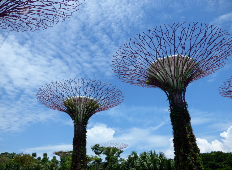 Artificial tree structures overgrown with climbing plants against a cloudy blue sky