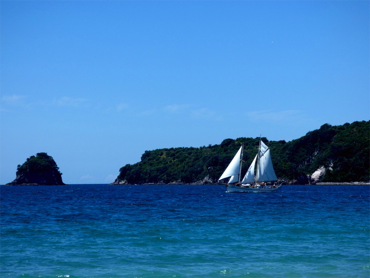 A small white sailboat on the deep blue sea in front of a forested island in the distance