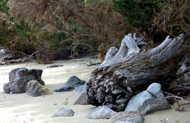 A large piece of driftwood laying next to some stones on a sand beach