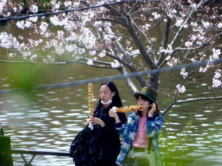 Two women resting against a cherry tree eating fried potato sticks in front of a lake