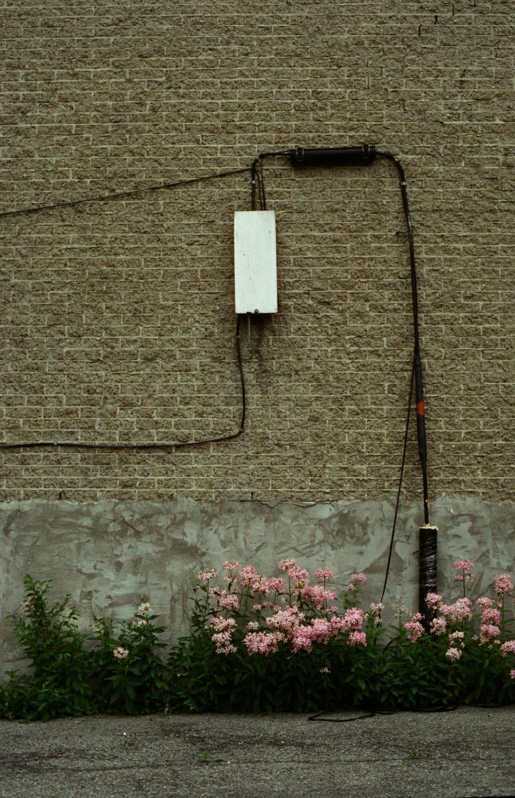 No description available yet