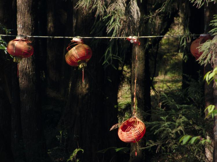 A string of withered red Chinese lanterns hanging in front of some trees, one of them with the top ripped off, hanging on a thread far lower than the other lanterns