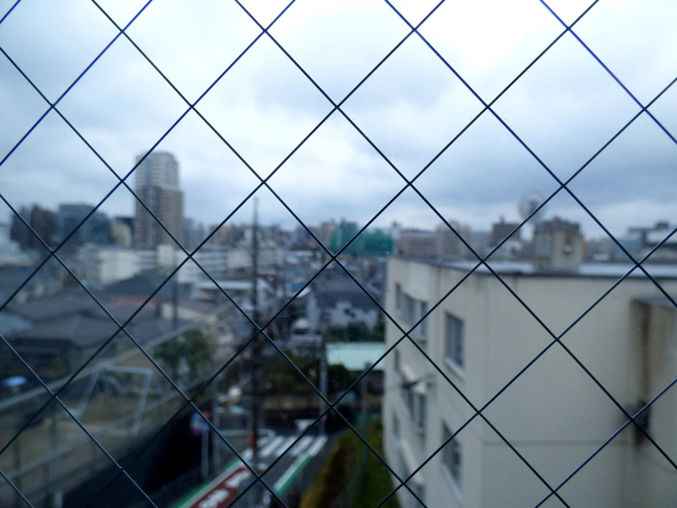 A view of a Tokyo street photographed through an earthquake-proof windowpane with wire mesh embedded in it