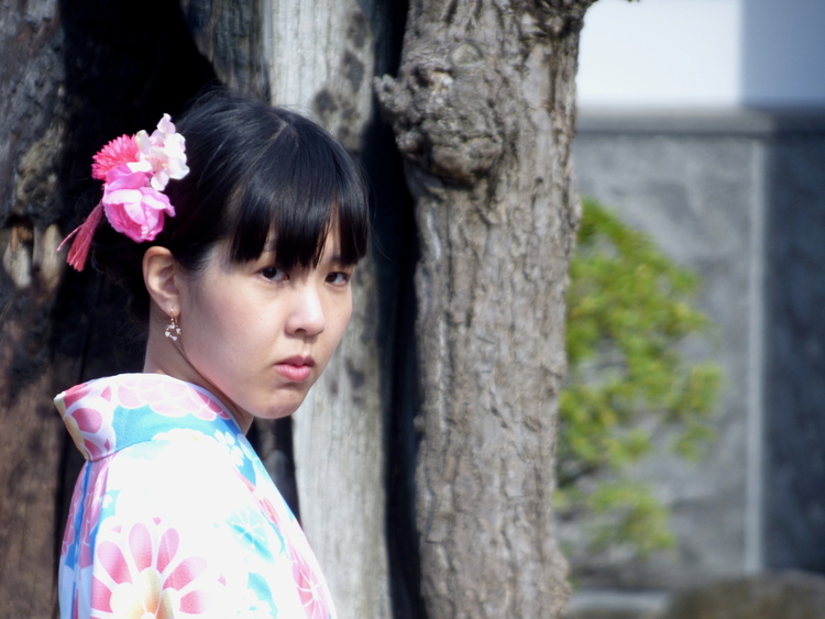A woman in a pink-and-blue Kimono with a flower in her hair looking at the camera