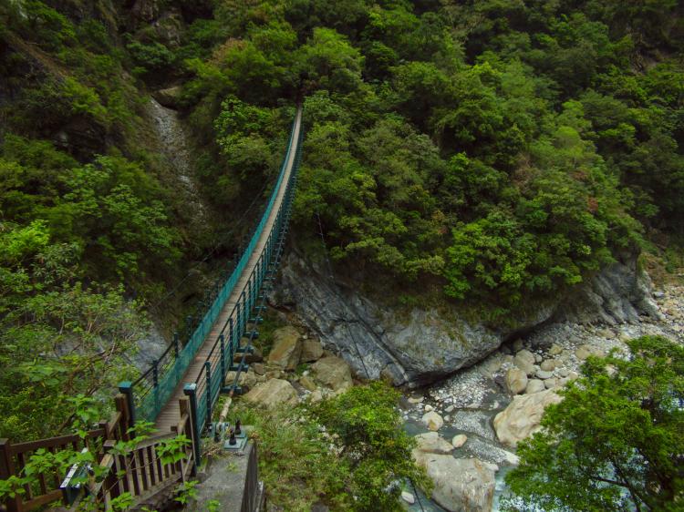 A narrow suspension bridge spanning across a river gorge into the forest