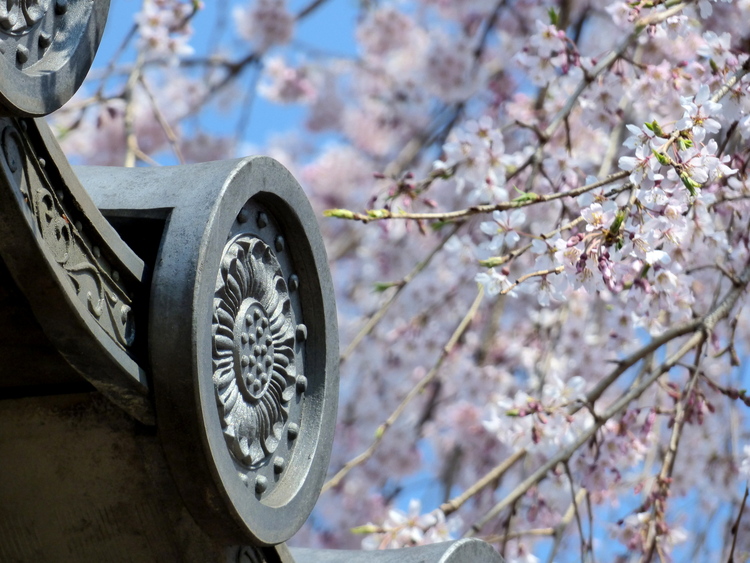 Detail of a floral roof ornament with white cherry blossoms