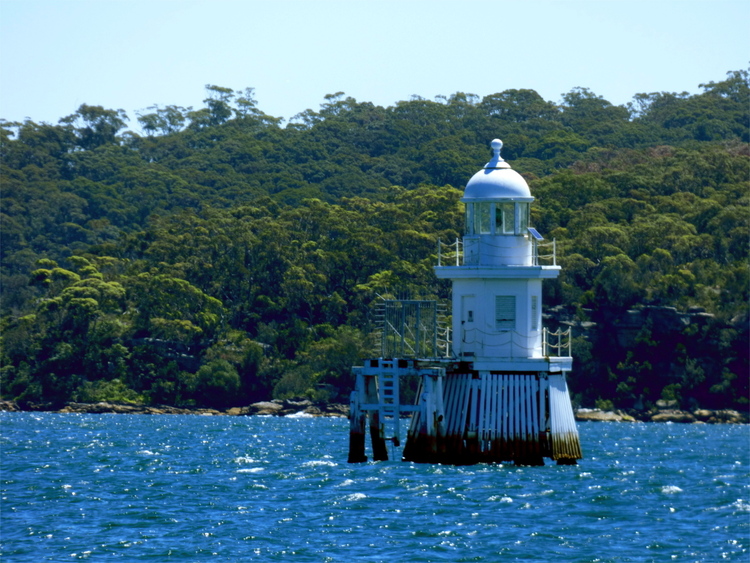 A tiny lighthouse standing in the sea off a forested coast