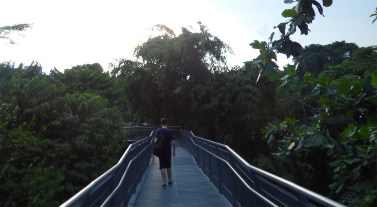 Jan walking along an elevated metal walkway through a forest