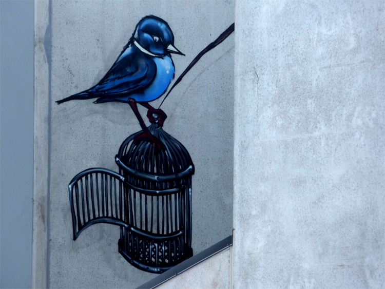 A mural of a blue bird sitting on top of an open cage on a white building wall
