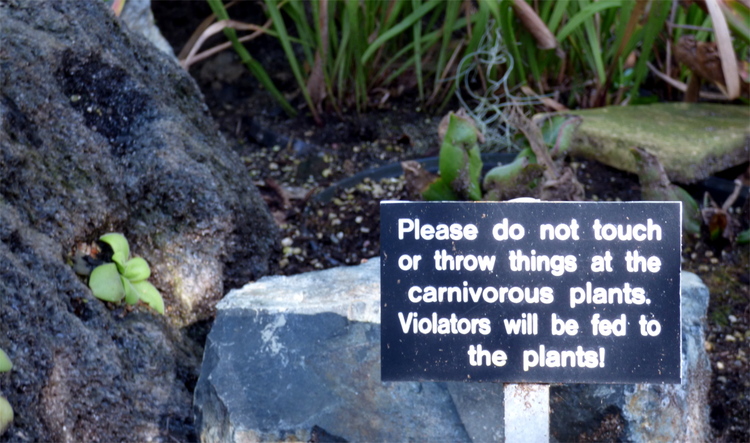 A small black sign in the ground reading 'Please do not touch or throw things at the carnivorous plants. Violators will be fed to the plants!'