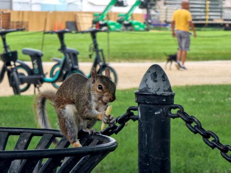 No description available yet