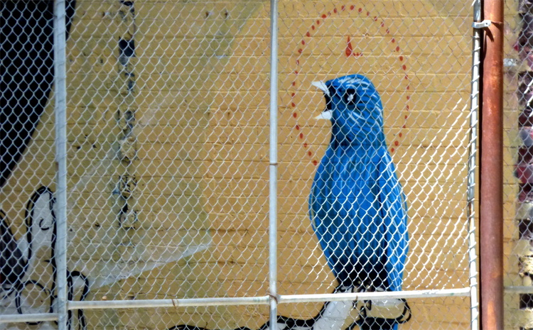 Street-art showing a blue bird photographed through a chain-link fence