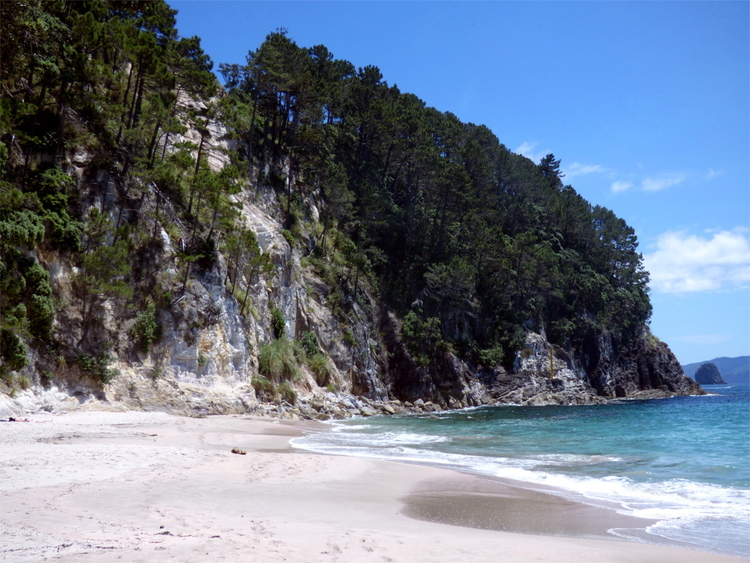 A sand beach enclosed by stone cliffs with trees on them