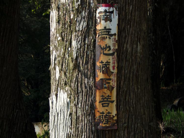 A withered metal sign with Chinese writing fixed to the bark of a large tree