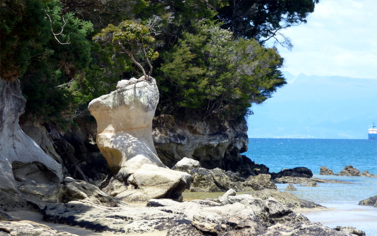 A smooth, free-standing rock formation with a single small tree on top emerging from a beach