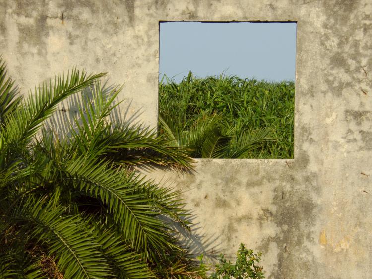 A square-shaped hole in a spotty concrete wall making the green landscape behind it look like a painting on a wall