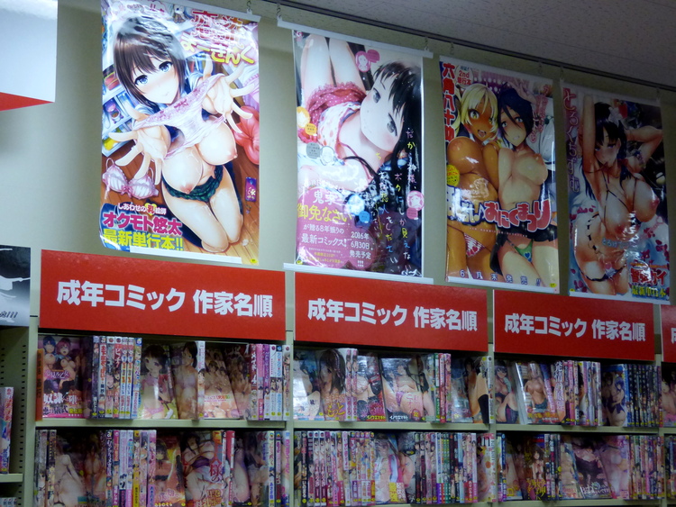 Shelves full of Manga/Hentai books underneath posters featuring Manga-style illustrations of topless women with exaggerated breasts