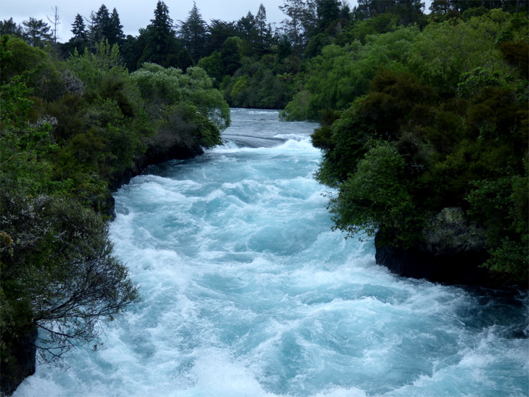 A foamy, ice blue turbulent river running through thick vegetation to either side