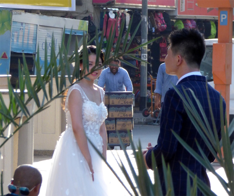 A wedding couple posing for pictures on a market street between some plants