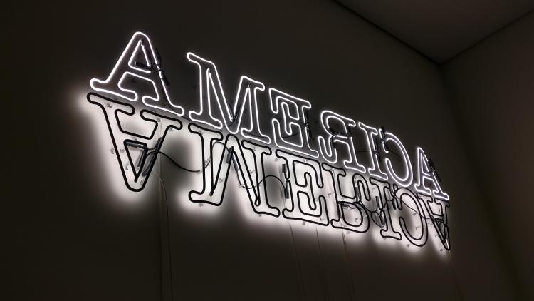 A white neon art installation in the corner of a dark room. The text 'AMERICA' in large, serif neon letters is mirrored across the horizontal. The upper version faces the room as usual, while the lower, mirrored version is mounted to face the wall, creating backlit black letters.