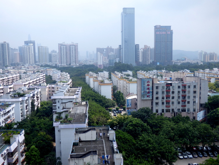 A row of apartment buildings leading off into the distance with large green trees in between seen from above