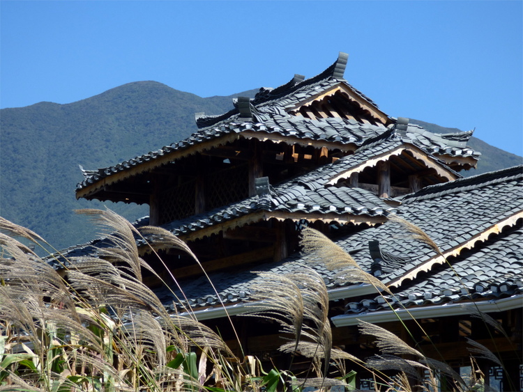 The wooden roof of a Chinese-style building behind tall grass blowing in the wind