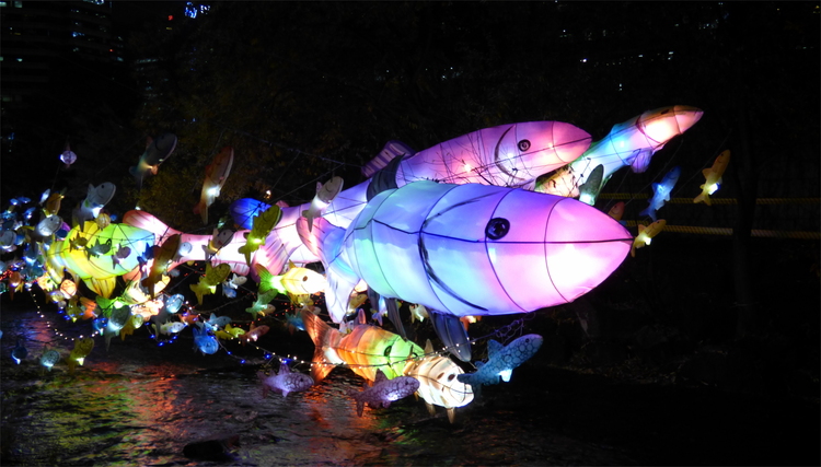 Colorful glowing fish-lanterns suspended above a small river at night