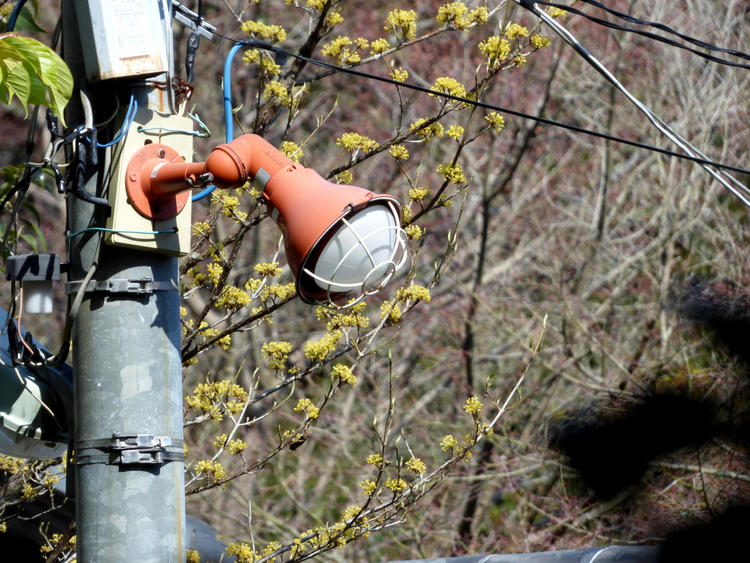 A red lamp mounted on a metal post with some wires spanning across
