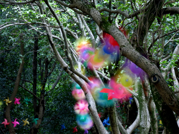 Colourful wind wheels on strings suspended between trees in a forest