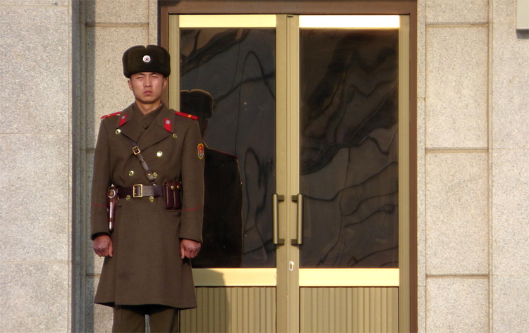 A North-Korean soldier in a brown uniform with red accents and a fur hat guarding the door to a building
