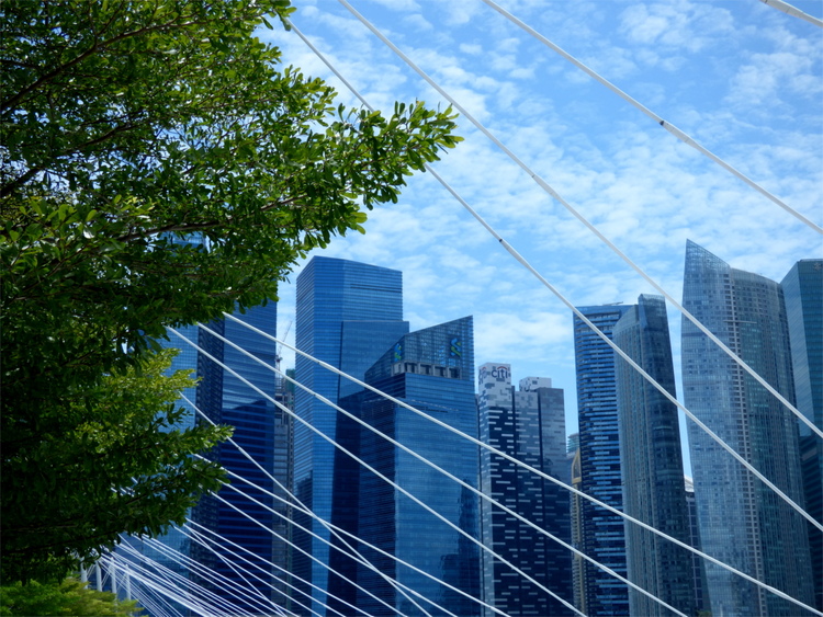 Some trees in front of the Singapore skyline made of tall, blue glass buildings