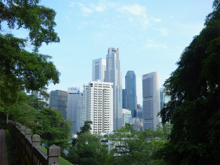 Some high-rise buildings visible through an opening between tall trees