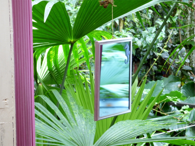 A pink-framed mirror hanging on a rope among tropical green plants