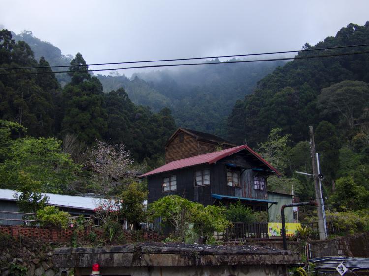 A small wooden house with a red roof standing in front of a mountainous forest disappearing into fog