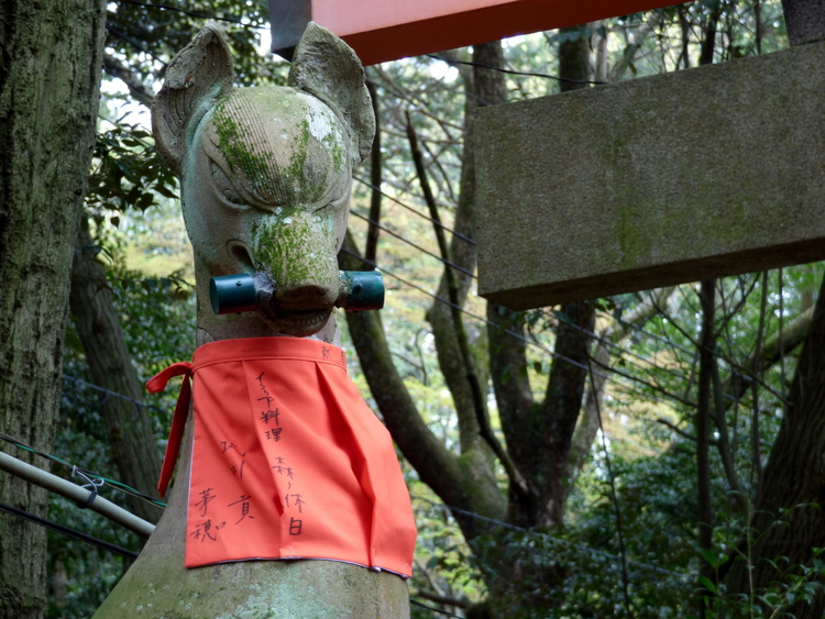 A stone fox statue holding something in its mouth, wearing a red fabric vest