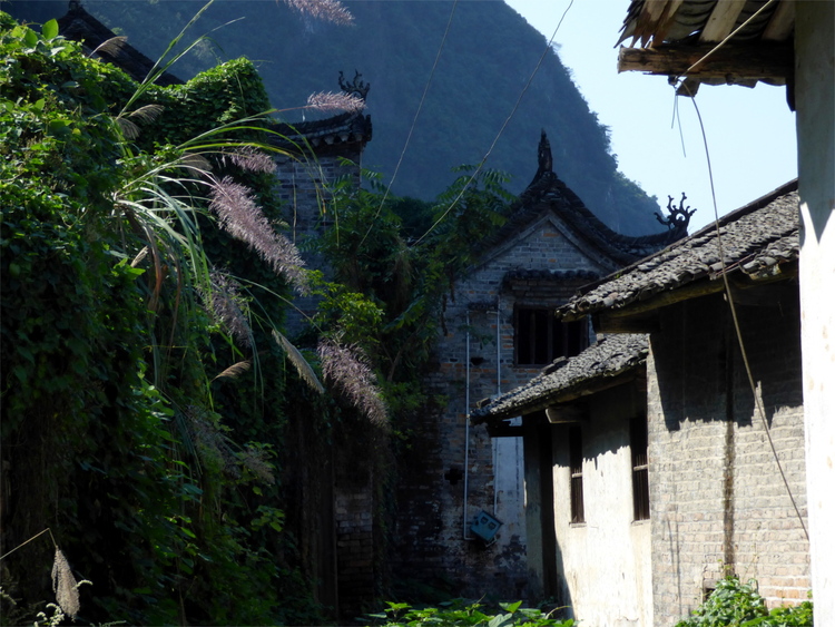 Old, overgrown Chinese stone buildings with decorated roofs