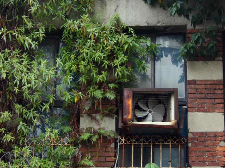A rusty fan exhaust on a window in a red-brick facade partially overgrown with plants