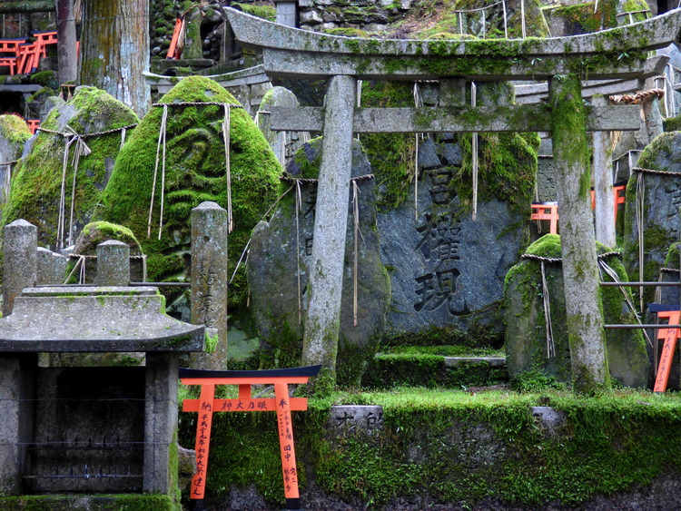 Decorative miniature stone and wood shrine gates among mossy gravestones