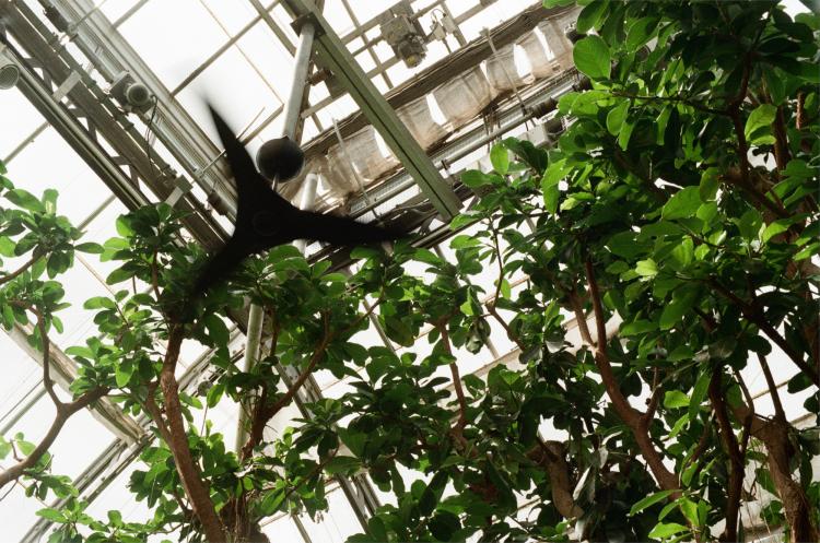 No description available yet