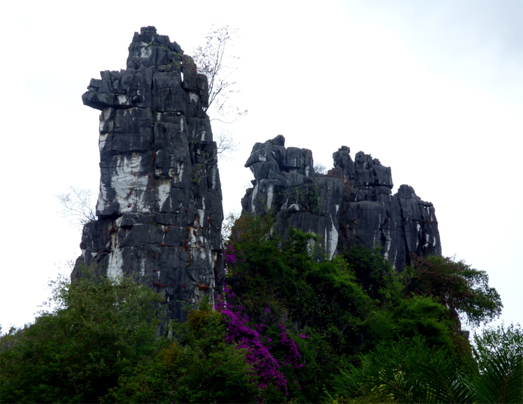 A camel-shaped dark grey rock formation emerging from the trees