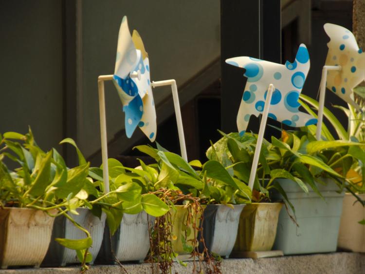 White-and-blue paper wind wheels in various pots of plants on a windowstill