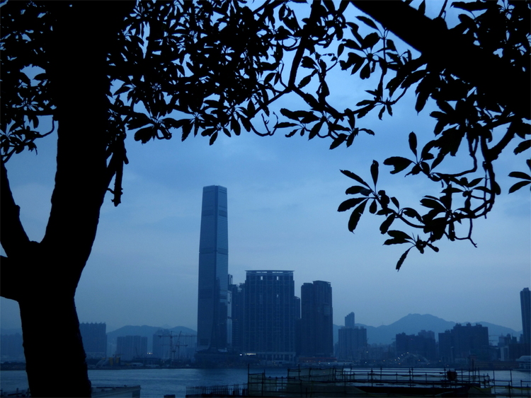 A hazy blue look at three skyscrapers across a river through the silhouette of a tree